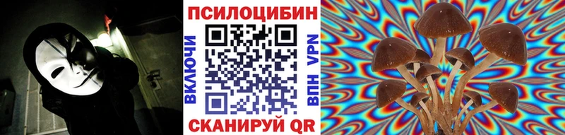 Купить закладки  Сельцо  Галлюциногенные грибы ЛСД 