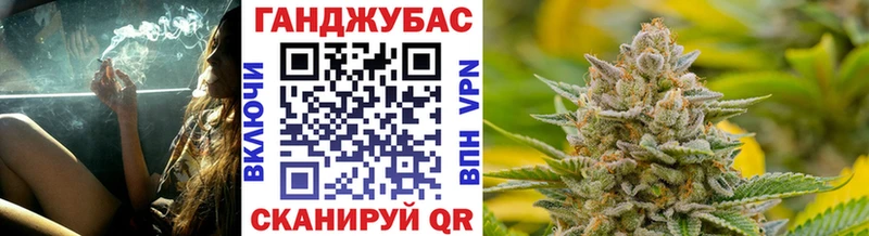 Конопля семена  Купить  Сельцо 